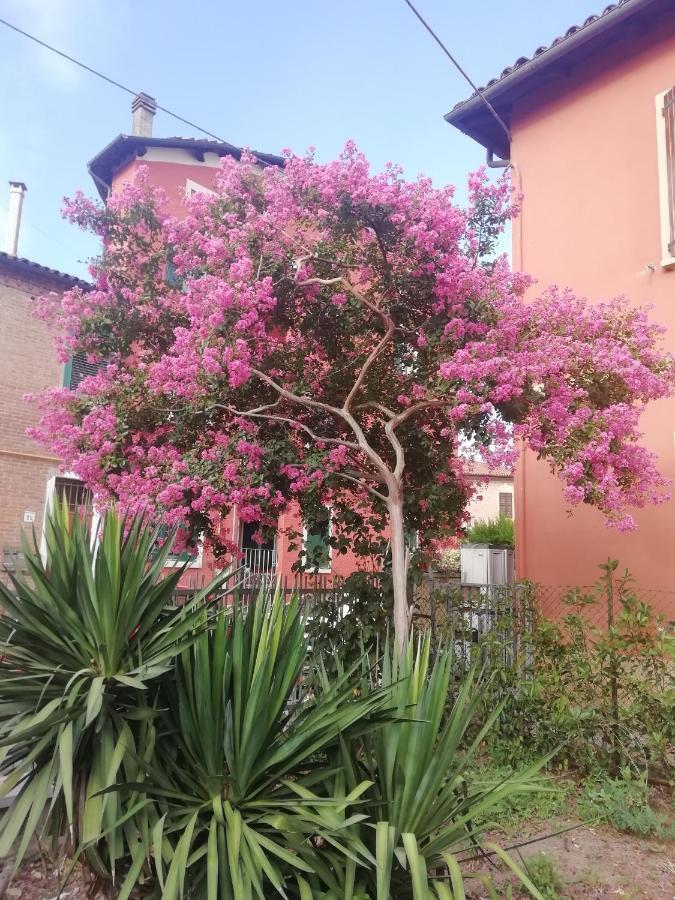 Grigio Perla Panigale, Villetta Con Giardino E Parcheggio Privato Fino A Tre Posti Auto - Un Oasi Di Tranqullita Bologna Eksteriør bilde
